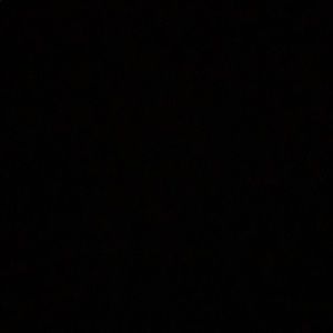 Meet your Posher, Pat